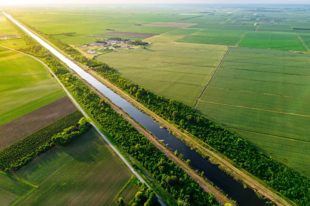 sustainability shown through greenery