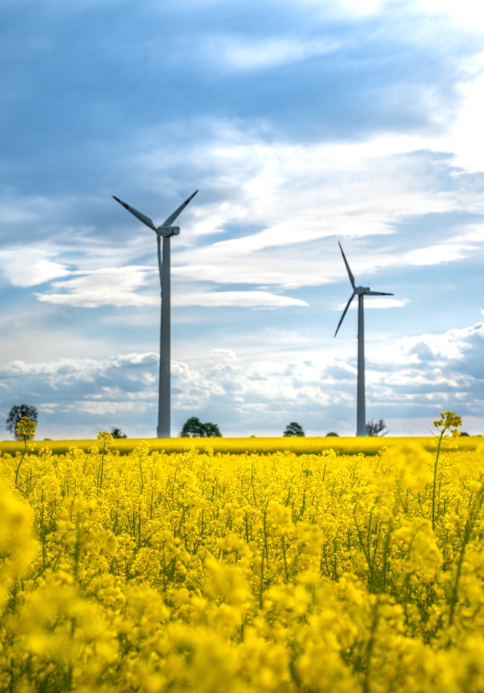 wind farm for sustainability